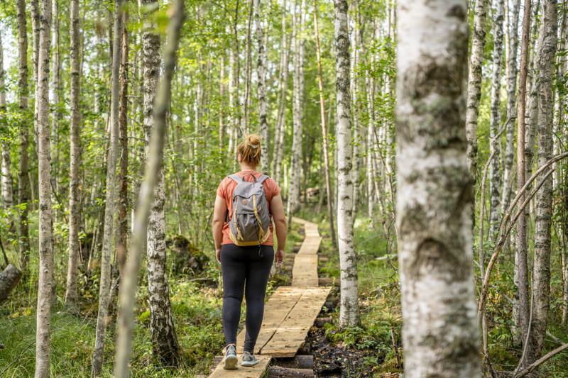 nainen kävelee metsässä pitkospuita pitkin