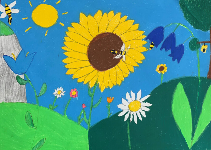 Piirustus, jossa kukkia, aurinko ja mehiläinen.